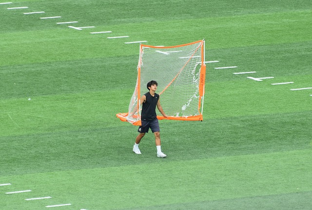 仅提高了球