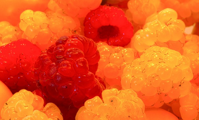 無論這次教 無論這次教