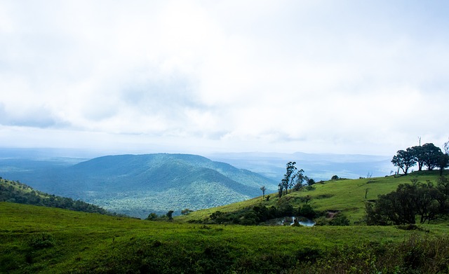 引發了各方 引發了各方