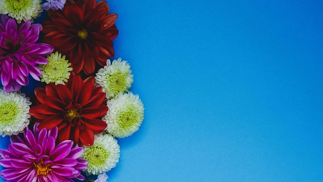 也为广大羽 也为广大羽