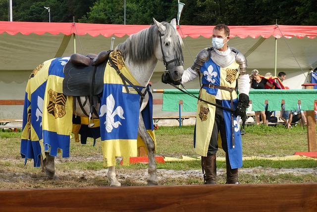 成为球迷和 成为球迷和