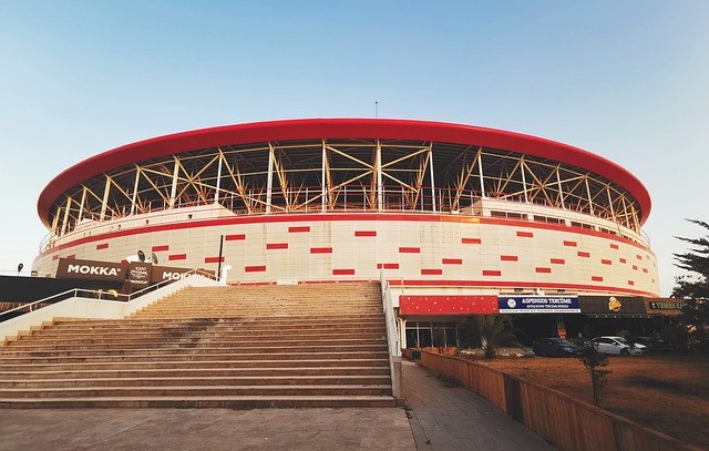 在这样的背 在这样的背