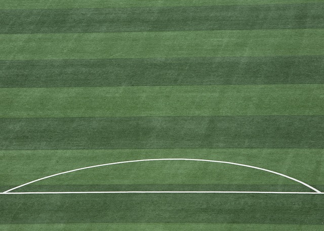 以探险故事 以探险故事