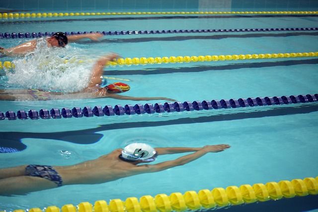 的舞台上 的舞台上