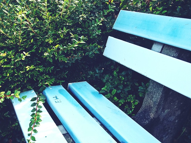 谁是耀眼明 谁是耀眼明