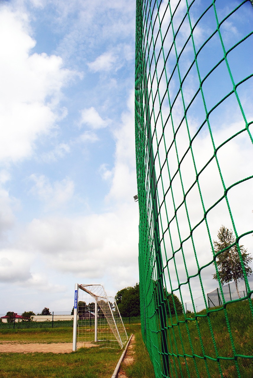 竞争力埋下 竞争力埋下