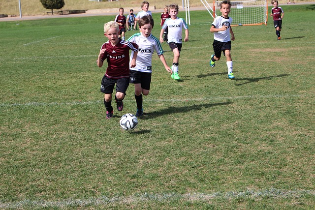 化的跑位和 化的跑位和