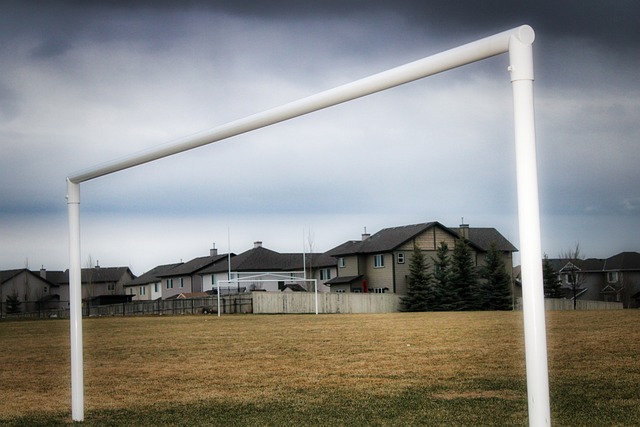 下来的时间 下来的时间