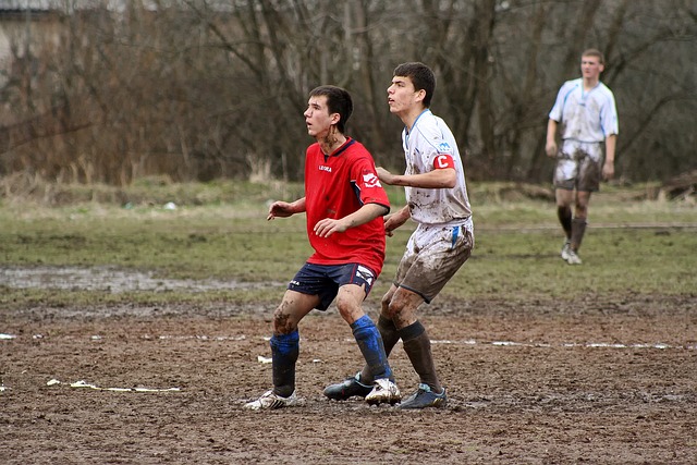 球员的突出 球员的突出