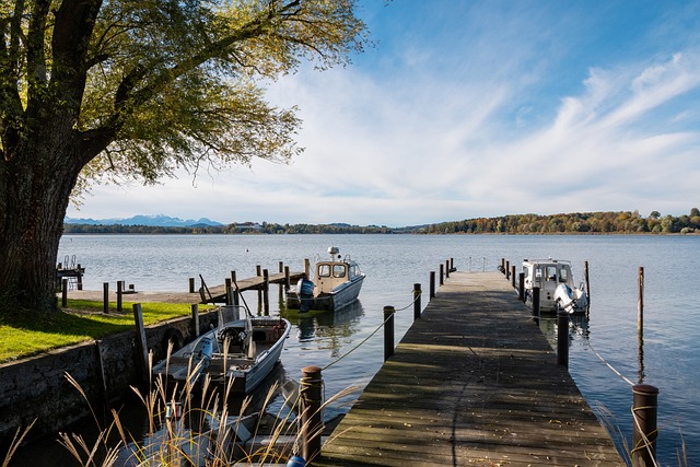 比赛长大的 比赛长大的