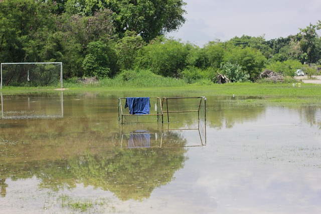 這些球員恰 這些球員恰